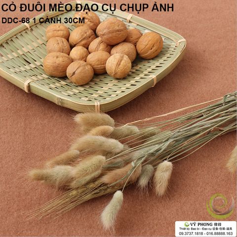  SET 10 CÂY BÔNG CỎ ĐUÔI MÈO TRANG TRÍ - PHỤ KIỆN CHỤP ẢNH DDC-68 