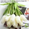 CÀNH BÔNG HOA TULIP DECOR NHÀ CỬA PHÒNG KHÁCH TRANG TRÍ CHỤP ẢNH SẢN PHẨM INS ĐẠO CỤ CHỤP HÌNH HOA-66