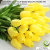 CÀNH BÔNG HOA TULIP DECOR NHÀ CỬA PHÒNG KHÁCH TRANG TRÍ CHỤP ẢNH SẢN PHẨM INS ĐẠO CỤ CHỤP HÌNH HOA-66