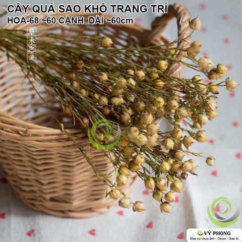  BÓ CÂY QUẢ SAO KHÔ TRANG TRÍ NHÀ ĐẠO CỤ CHỤP ẢNH SẢN PHẨM INS HOA-68 