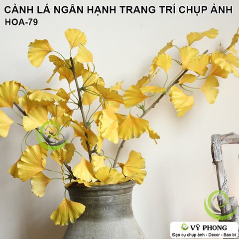  CÀNH LÁ NGÂN HẠNH TRANG TRÍ ĐÁM CƯỚI CHỤP HÌNH ĐẠO CỤ CHỤP ẢNH SẢN PHẨM INS HOA-79a,b,c 