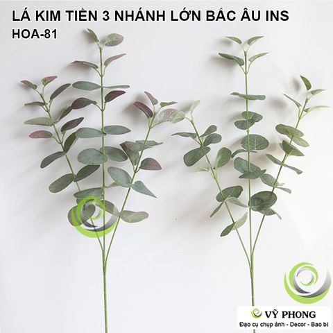  CÀNH LÁ KIM TIỀN 3 NHÁNH LỚN BẮC ÂU NORDIC TRANG TRÍ ĐÁM CƯỚI CHỤP ẢNH ĐẠO CỤ CHỤP HÌNH SẢN PHẨM INS HOA-81a,b 