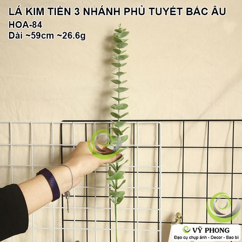  CÀNH LÁ KIM TIỀN ĐƠN DÀI NORDIC TRANG TRÍ ĐÁM CƯỚI CHỤP HÌNH ĐẠO CỤ CHỤP ẢNH SẢN PHẨM INS HOA-84 