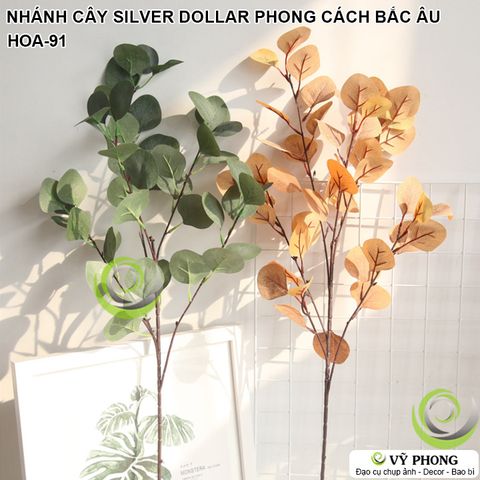  CÀNH LÁ CÂY SILVER DOLLAR PHONG CÁCH BẮC ÂU TRANG TRÍ CHỤP HÌNH ĐẠO CỤ CHỤP ẢNH SẢN PHẨM INS HOA-91 