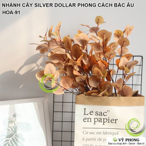  CÀNH LÁ CÂY SILVER DOLLAR PHONG CÁCH BẮC ÂU TRANG TRÍ CHỤP HÌNH ĐẠO CỤ CHỤP ẢNH SẢN PHẨM INS HOA-91 