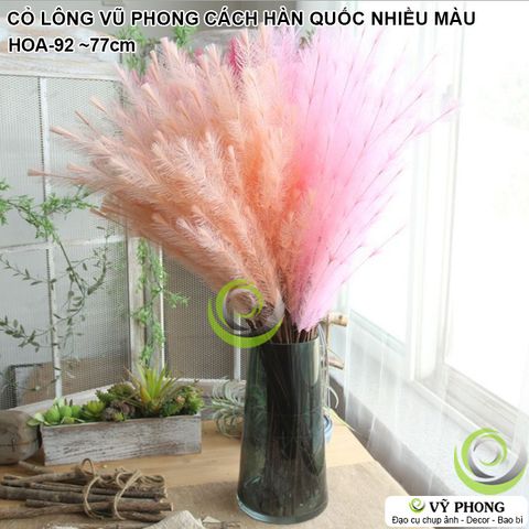  CÀNH LÁ CỎ LÔNG VŨ MÔ PHỎNG PHONG CÁCH HÀN TRANG TRÍ CHỤP HÌNH ĐẠO CỤ CHỤP ẢNH SẢN PHẨM INS HOA-92 