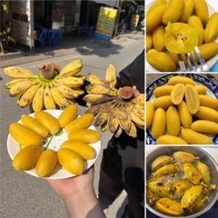 9 chuoi sap nghe luoc san