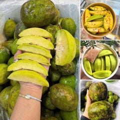 coc cay thai