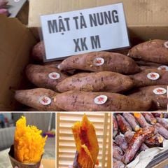 khoai mat da lat xuat khau