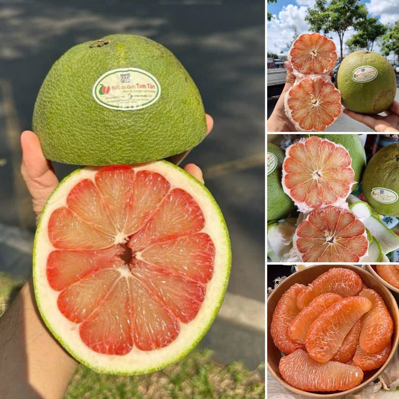 7 buoi da xanh ben tre boc san