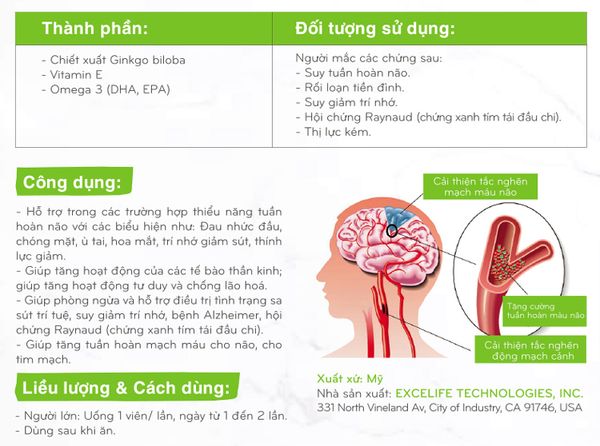 Thuốc Bổ Não Ginkgo Biloba 120mg – Tăng Cường Trí Nhớ, Cho Não Khỏe Mạnh