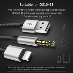 Cáp chuyển cổng Lightning sang Audio AUX 3.5mm + USB Baseus L34 cho iPhone/ iPad (Lightning 8 Pin to 3.5mm USB Audio Cord)