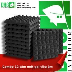 Combo 12 Tấm Mút Gai Tiêu Âm