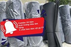 Combo 10 tấm mút trứng tiêu âm tặng 1 chai keo dán xịt pj-77