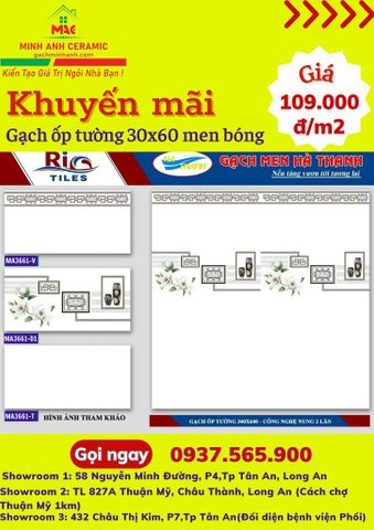 GẠCH ỐP TƯỜNG 30X60 HÀ THANH MA 3661