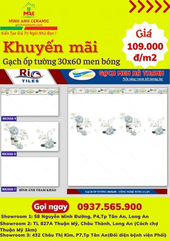 GẠCH ỐP TƯỜNG 30X60 HÀ THANH MA 3668