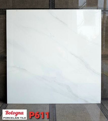 GẠCH LÁT NỀN FICO 60X60 611