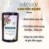 Dầu gội thảo dược trị rụng tóc Klorane 400ml mẫu mới nhất