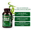 Tảo Lục Hoàng Gia Royal DX Tác Dụng Gấp 3 Tảo Spirulina Thường