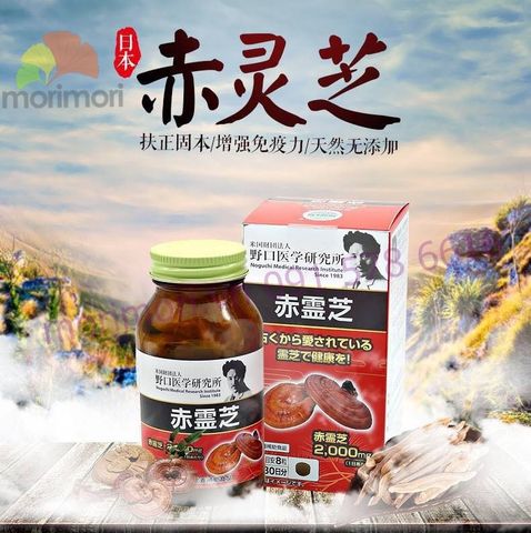 NẤM LINH CHI ĐỎ REISHI NOGUCHI