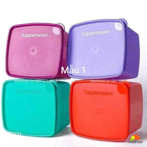 SET 4 HỘP ĐỰNG NGĂN MÁT TUPPERWARE 800ML - TPW_01