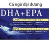 Dầu cá tinh chế gồm DHA và EPA