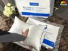 SET 2 RUỘT GỐI HILTON PILLOW ÉP CHÂN KHÔNG