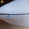 SET 2 RUỘT GỐI HILTON PILLOW ÉP CHÂN KHÔNG