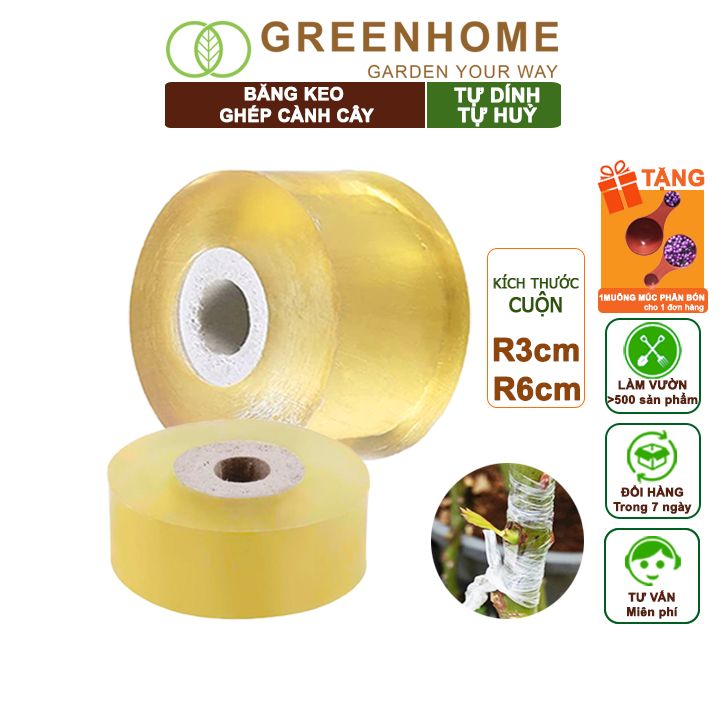 Keo Ghép Cành Greenhome, Tự Dính, Tự Huỷ, Bảo Vệ Mối Ghép Nhanh Liền, Dễ Sử Dụng, Nhiều Kích Thước