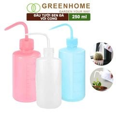 Bình tưới cây vòi cong, 250ml, phù hợp cho sen đá, xương rồng, tiểu cảnh mini |Greenhome