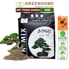 Đất Trồng Cây Bonsai Promix, Trộn Sẵn, Tiện Dụng, Giữ Ẩm Tốt, Thoáng Khí, Rễ Khoẻ, Thân To