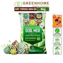 Đất Trồng Sen Đá Soil Mix, Trộn Sẵn, Tiện Lợi, Đầy Đủ Dinh Dưỡng, Thoát Nước Tốt, Cây Nhanh Lớn