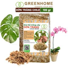 Dớn trắng Chilê, gói 100gr, đã qua xử lý, giữ ẩm tốt, kháng khuẩn tự nhiên, làm giá thể trồng phong lan, kiểng lá hiệu quả |Greenhome