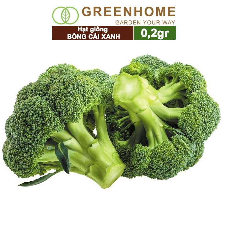 Hạt giống Súp lơ xanh, gói 0,2gr, bông cải xanh, dinh dưỡng, dễ trồng T10