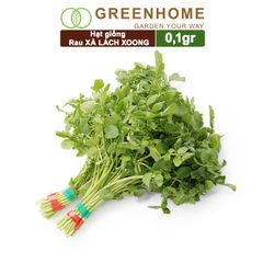 Hạt giống rau Xà lách Xoong ,gói 0.1g ,dễ trồng, thu hoạch nhanh R01