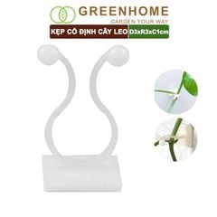 Kẹp cố định cây dây leo Greenhome, D3xR3cm, gắn tường tiện lợi, dễ dàng lắp đặt, tiết kiệm không gian