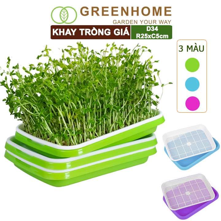 Bộ khay trồng giá, D34xR25xC5cm, nhiều màu sắc, nhựa nguyên sinh, an toàn, dễ trồng tại nhà |Greenhome