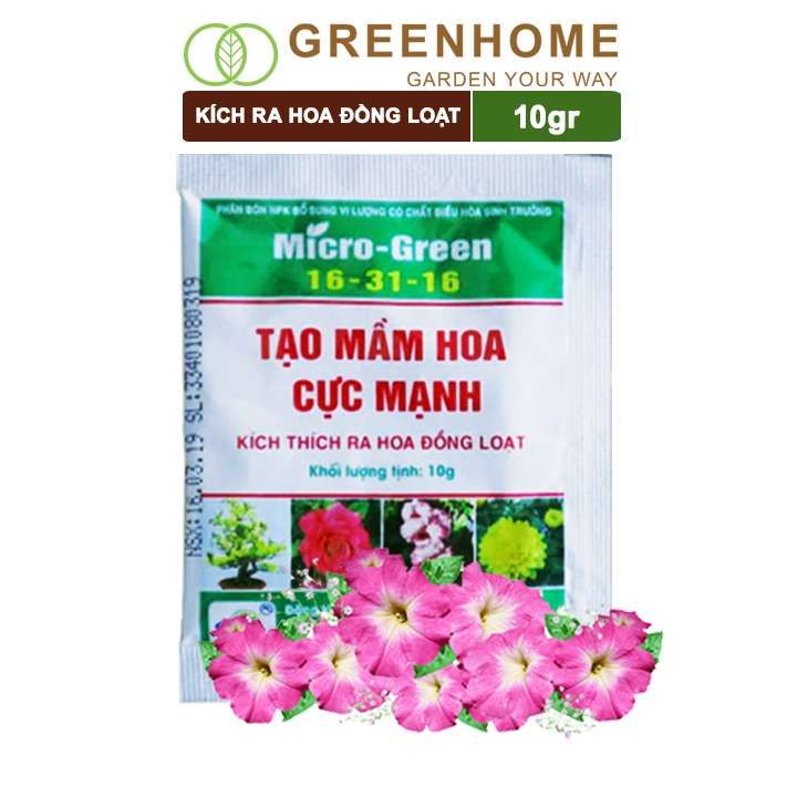 Phân kích ra hoa, Micro Green 16-31-16, gói 10gr, tạo mầm hoa cực mạnh, thúc đẩy ra hoa đồng loạt |Greenhome