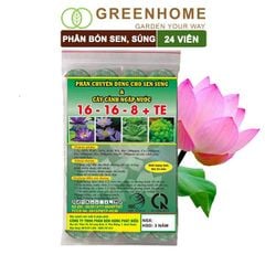 Phân bón hoa Sen, vỉ 24 viên, cây thuỷ sinh, ngập nước, cho hoa to, hoa đậm màu, lâu tàn, tốt lá |Greenhome