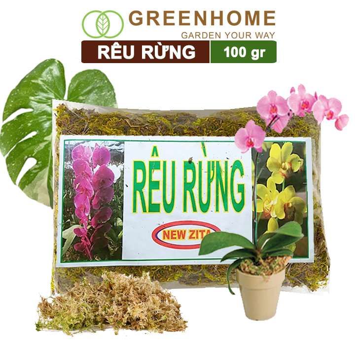 Rêu rừng Newzita, bao 100gr, đã qua xử lý, giữ ẩm tốt, chuyên phong lan, kiểng lá | Greenhome