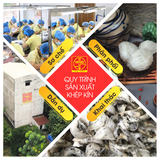  100gr Yến Thô Nguyên Tổ Ít Lông, Nhiều Sợi, Nở Nhiều - Hộp 11-12 Tổ - Tặng kèm máy chưng yến tự động 