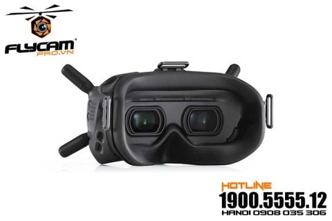 dji fpv goggles