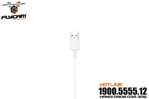 phụ kiện dji - rc cable (lightning to usb)