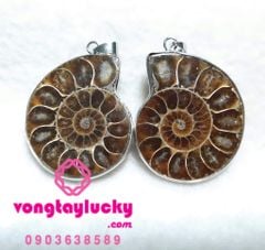 Hình ảnh bài viết