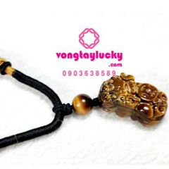 Hình ảnh bài viết