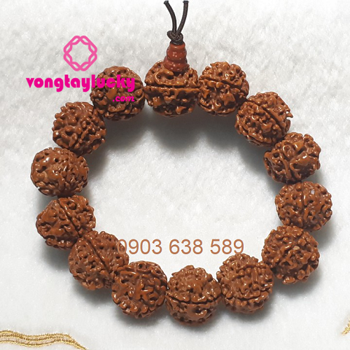 Chuỗi tay kim cang (Rudraksha) Tây tạng hạt 17li 5 múi độc đáo đeo tay cho Nam