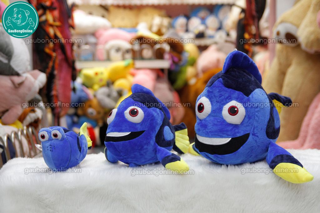 Cá Bông Dory