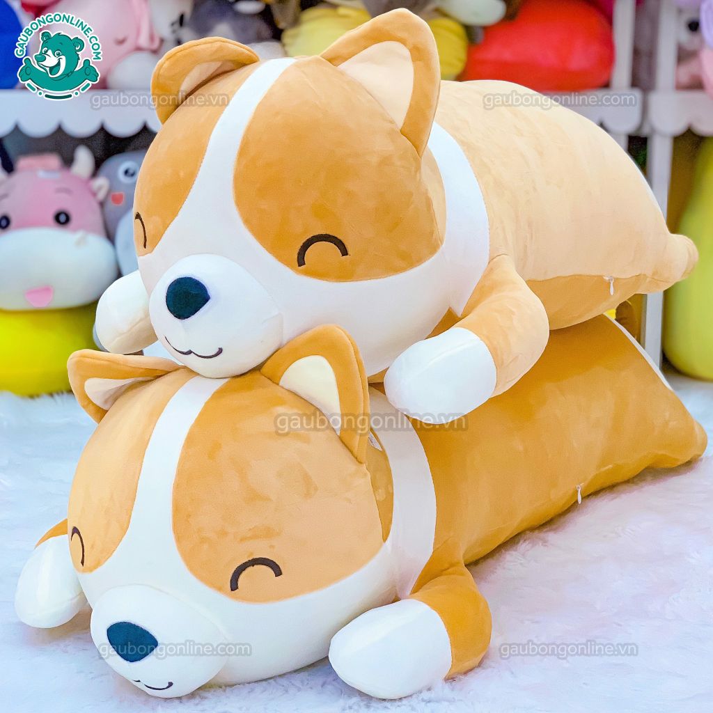 Corgi Nằm Mông Tim