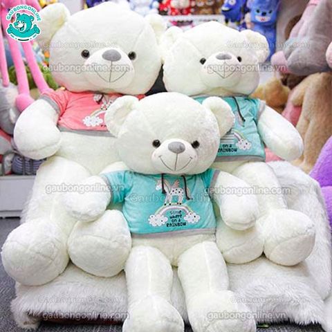 Gấu bông Teddy - Áo Nỉ Thú