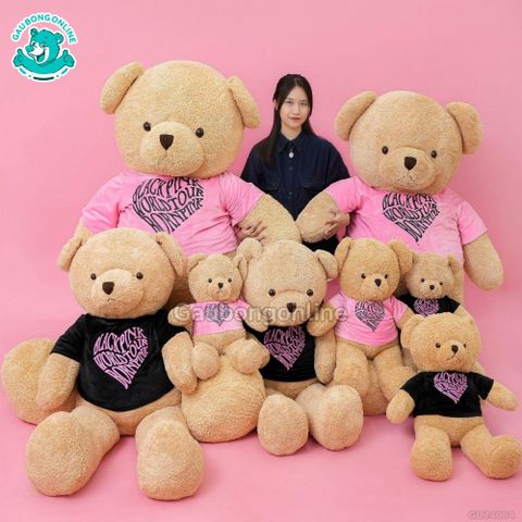 Gấu Bông Teddy MonPink